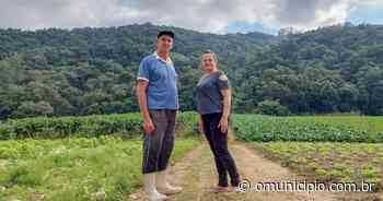 GALERIA – Cristalina mostra que o interior de Brusque ainda surpreende - O Município