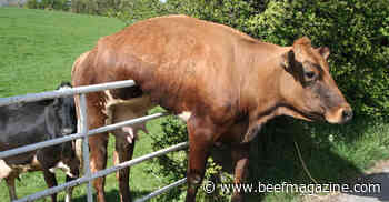 Don’t be on the fence about biosecurity. Create a plan.