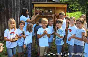 Aktion von Schülern in Hochdorf - Gemeinsam gegen das Insektensterben - esslinger-zeitung.de