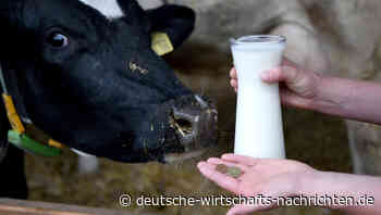 Der Milchmarkt: Die Preisschwankungen könnten eine Zeitenwende einläuten