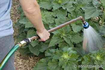 EMERGENZA IDRICA AD AVEZZANO: INTENSIFICATI I CONTROLLI DEI CARABINIERI | Ultime notizie di cronaca Abruzzo - Abruzzoweb.it