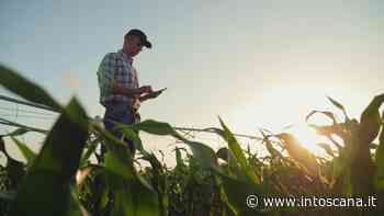 A Pisa la blockchain è a servizio della filiera agroalimentare con Traent - intoscana - InToscana