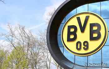 Trotz Werben von Dynamo Dresden: Franz Pfanne will beim BVB bleiben - BVBWLD.DE