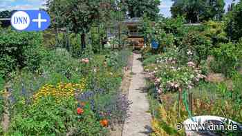 Kleingärten in Dresden deutschlandweit am günstigsten - Dresdner Neueste Nachrichten