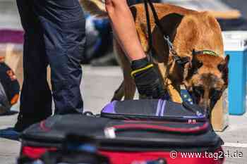700 Liter Schmuggel-Sprit, tausende Zigaretten: Tschechisch-Deutsche Zollkontrollen auf Dresden-Prag-Autobahn - TAG24