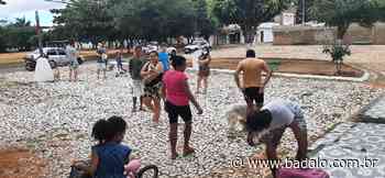 Campanha vacina mais de 8 mil animais contra a raiva em Crato - Badalo