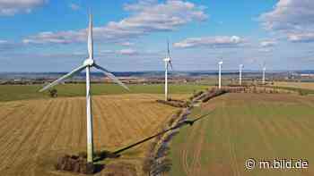 Energiewende: Sachsen legt Windrad-Protest ein - Dresden - Bild.de - BILD