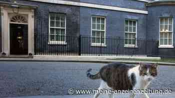 Kater Larry und die Regierungskrise in London