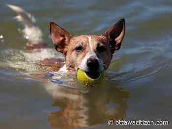 Weather: Load up on sunscreen, there are bright days ahead