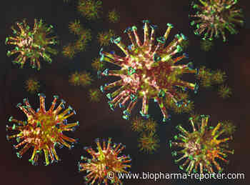 'All-in-one' coronavirus vaccine gets backing from CEPI - BioPharma-Reporter.com