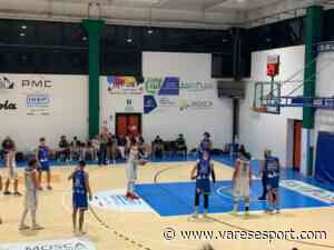 Gallarate e Busto verso la B tra mercato e questione palazzetti - VareseSport