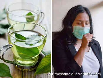 Coronavirus explainer: Can drinking green tea help with COVID symptoms? - Times of India