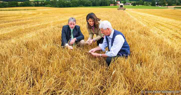 Trockenheit in Franken lässt Ernteaussichten sinken