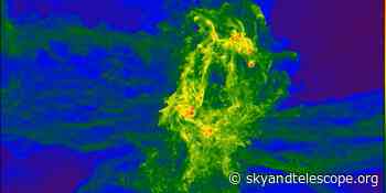 Where Did the First Quasars Come From?