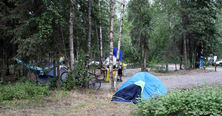 Alaska Kills 4 Bears That Entered Campground - The New York Times