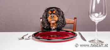 »Hangry«: Studie bestätigt Zusammenhang zwischen Hunger und schlechter Laune