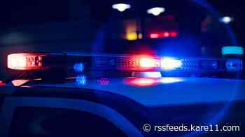 Police: Man tries kidnap 11-year-old child in Brooklyn Park
