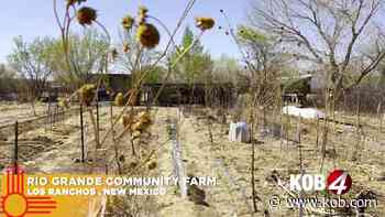 New Mexico Moment: Master Gardener Program - KOB 4