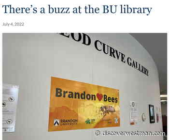 Brandon U Continues Pollinator Awareness through 'Bee-loved' Art Exhibit - DiscoverWestman.com