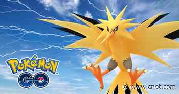 Pokemon Go Zapdos Raid Guide: Best Counters, Weaknesses and Moveset     - CNET