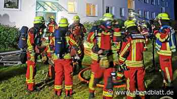 Feuerwehr Kaltenkirchen: Brandstifter zündet Kinderwagen an - Hamburger Abendblatt