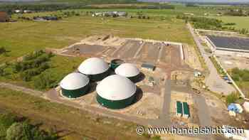 Geldanlage: UDI-Insolvenzverwalter muss abtreten – Richter zweifeln an seiner Unabhängigkeit