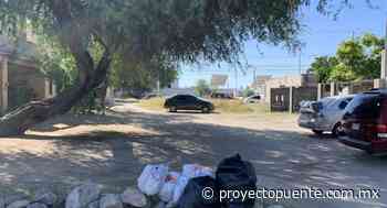 Quitarán recargos en predial al mantener limpios lotes baldíos en Hermosillo: Tesorería Municipal - Proyecto Puente