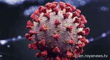 Britain records 143,888 coronavirus cases, 303 - Roya News English