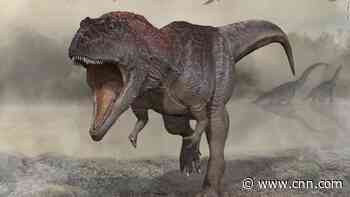 New dinosaur species discovered that had tiny arms like T. rex