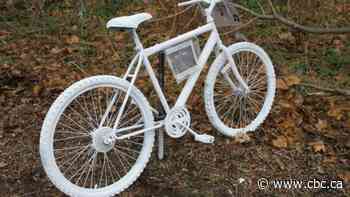 Ghost bike memorial planned for Hamilton cyclist killed