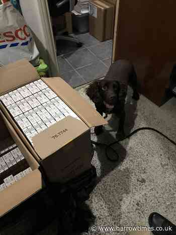 Brent newsagent fined after 14,000 illegal cigarettes found