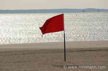 Pourquoi les drapeaux de baignade ont-ils changé de couleur et de forme cette année?