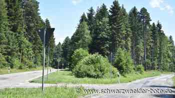 Kämpfen hat sich gelohnt - Aichhalder Bürgermeister freut sich über Straßensanierung - Schwarzwälder Bote