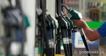 Ontario gas prices could be ‘all over the map’ amid substantial drops, analyst says