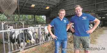 Waltrop: Milch und Joghurt von Billmann gibt es jetzt online - Marler Zeitung
