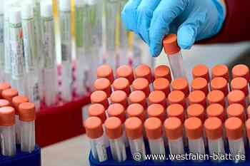 Kreis Minden-Lübbecke: Corona-Inzidenz sinkt - Westfalen-Blatt