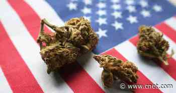 Marijuana Laws in Every State: Is Pot Legal in Your State?     - CNET