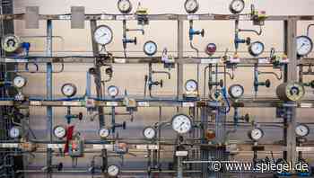 Energieversorgung: Wie der Umbau von Erdgas auf Wasserstoff konkret funktionieren soll