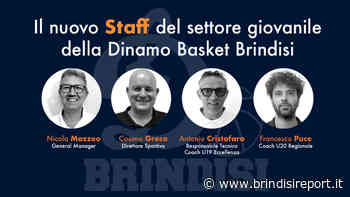 Dinamo Basket Brindisi: con la C Gold rilancio anche per il settore giovanile - BrindisiReport