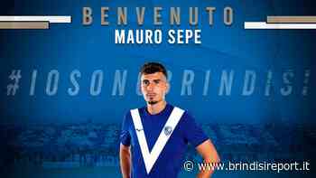 Brindisi, altro colpo: ingaggiato il difensore Mauro Sepe - BrindisiReport