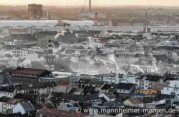 Mannheimer Marktplatz: Der Grillrauch verzieht sich nicht - Mannheim - Nachrichten und Informationen - Mannheimer Morgen