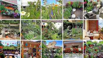 Wählen Sie jetzt Braunschweigs schönste grüne Oasen!