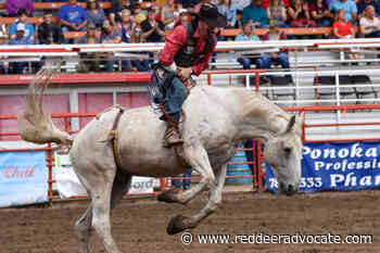 Ponoka Stampede Finals set up incredible showdown - Red Deer Advocate