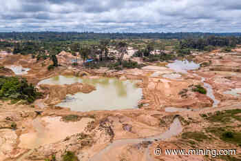 Illegal gold mining in Amazon equivalent to half of Brazil's production — report - MINING.COM - MINING.com