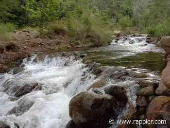 Governor orders crackdown on mining in Davao Oriental wildlife sanctuary - Rappler