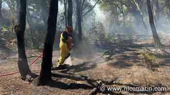 Le département du Gard frappé par des incendies dont un "méga feu", ce jeudi soir