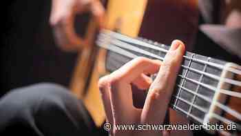 Angriff im Hirsauer Klostergarten - Ist Gitarren-Schläger schuldunfähig? - Schwarzwälder Bote