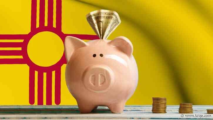 Could a public bank help New Mexico businesses?