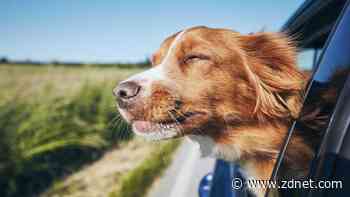 How to keep your home secure when you travel