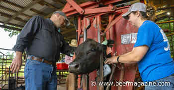OSU virtual fencing research gets $1.4 million boost